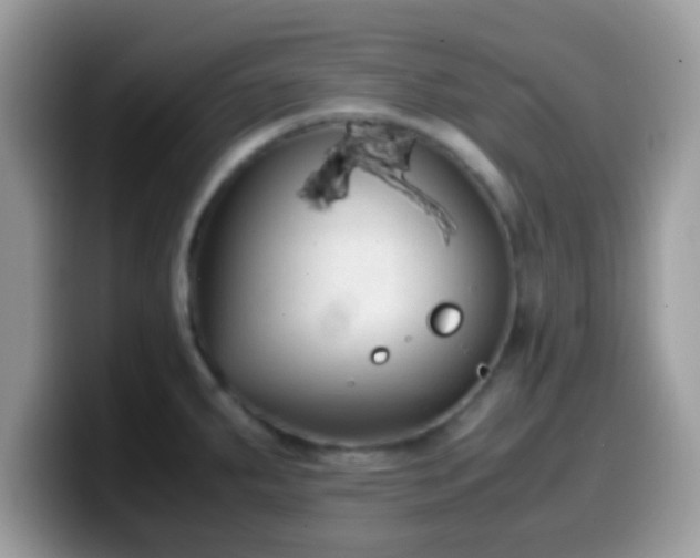 X0000099991287200805301406
