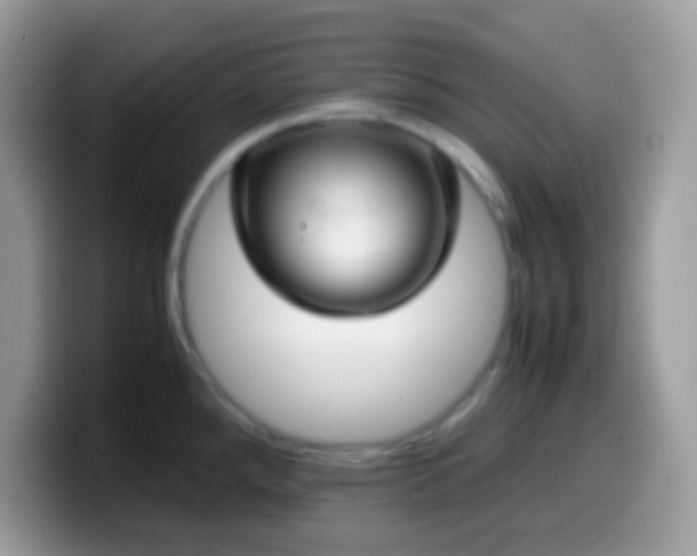 X0000099991288200805301406