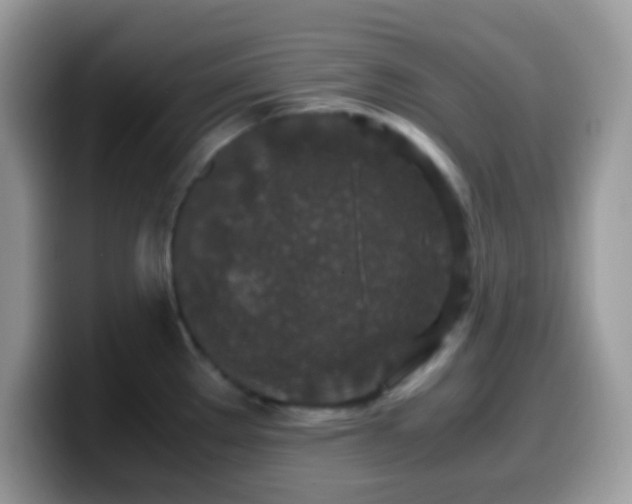 X0000099991289200805301406