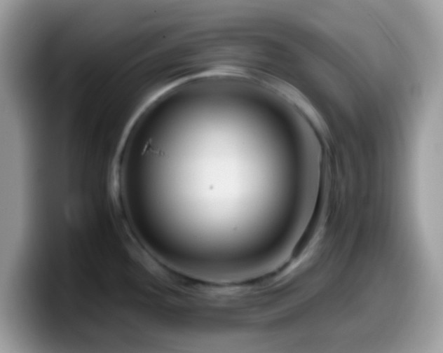 X0000099991292200805301406