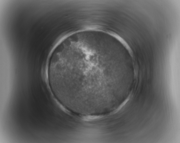 X0000099991294200805301406