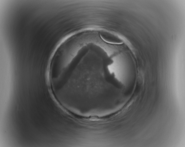 X0000099991295200805301406
