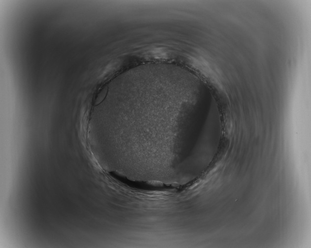 X0000099991297200805301405