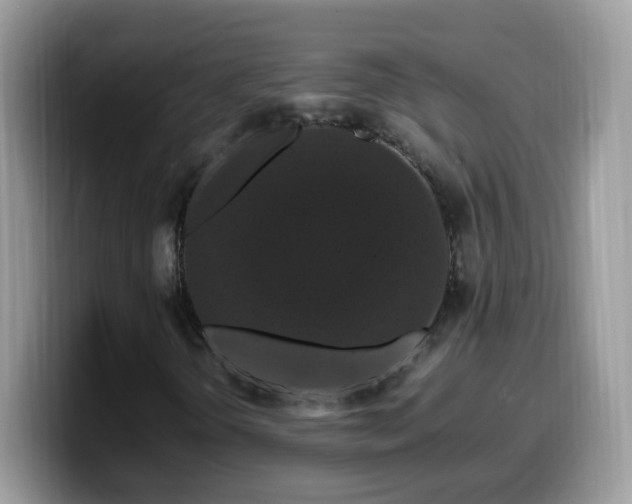 X0000099991298200805301405