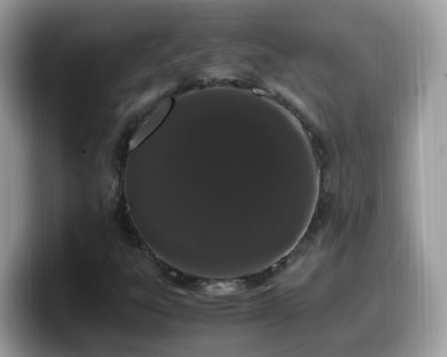X0000099991303200805301405