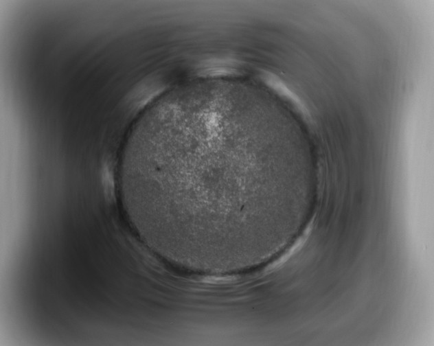 X0000099991305200805301405