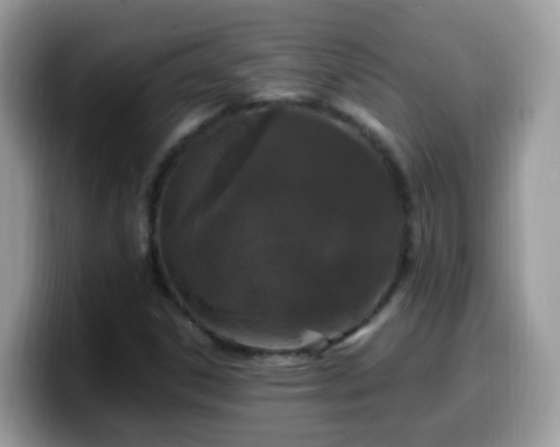 X0000099991306200805301405