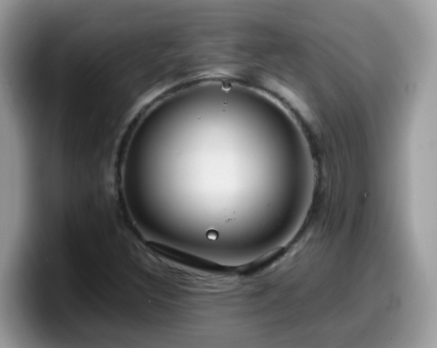 X0000099991308200805301405