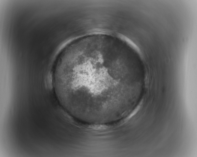 X0000099991310200805301405