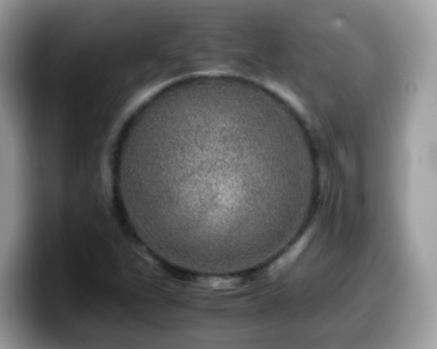 X0000099991311200805301405