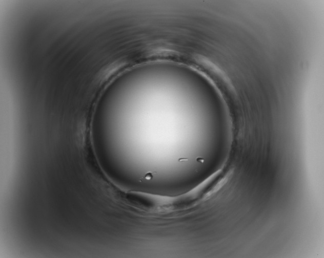 X0000099991313200805301405