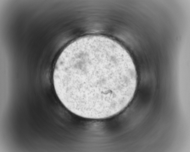 X0000099991314200805301405