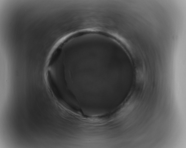 X0000099991319200805301405