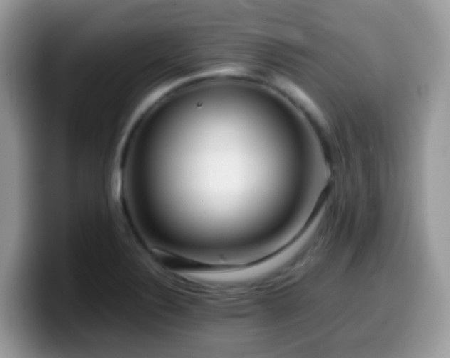 X0000099991324200805301405