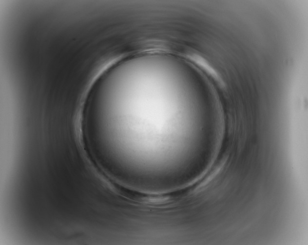 X0000099991325200805301405