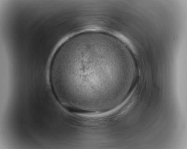 X0000099991326200805301405
