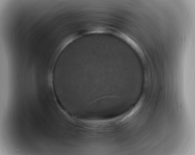 X0000099991329200805301405