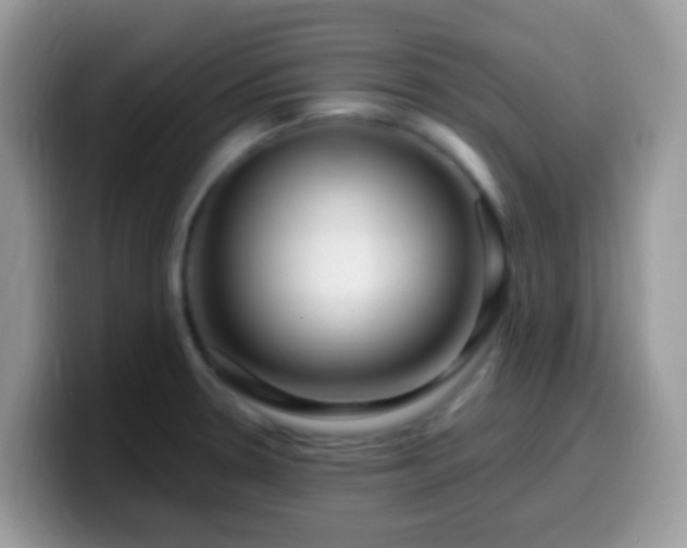X0000099991330200805301405