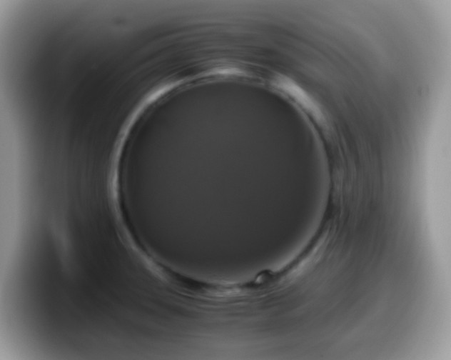 X0000099991331200805301405