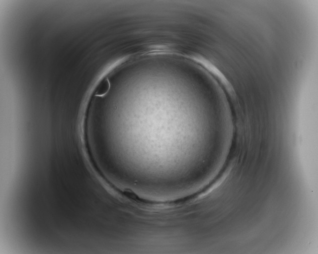 X0000099991333200805301405
