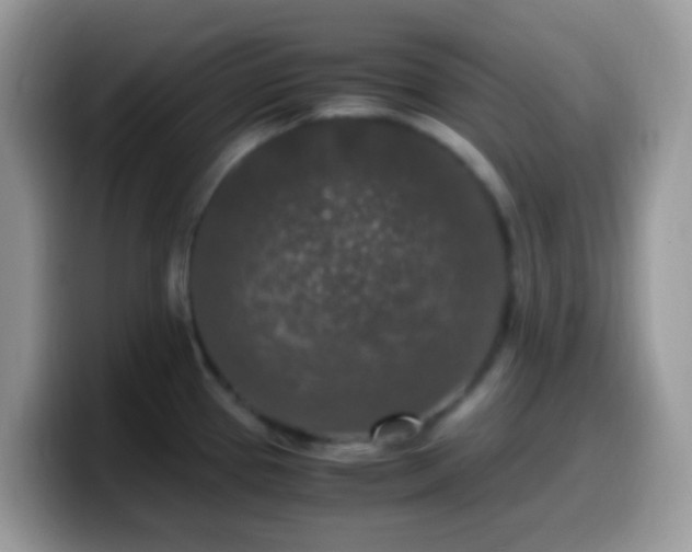 X0000099991337200805301405