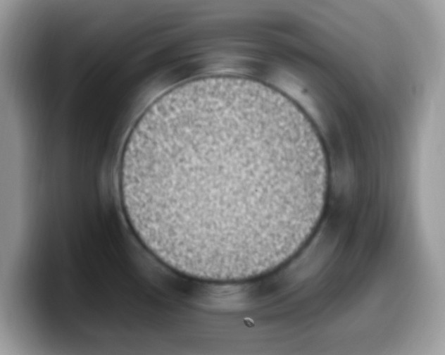 X0000099991338200805301406