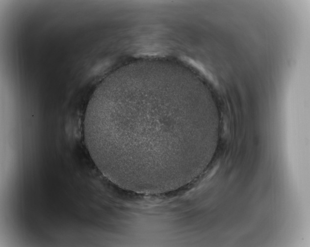 X0000099991350200805301405