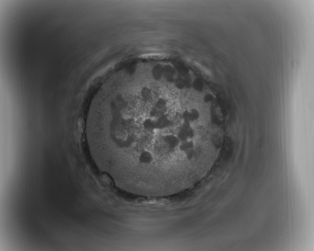 X0000099991351200805301405