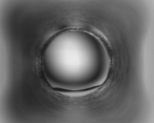 X0000099991352200805301405