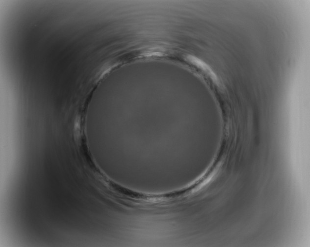 X0000099991353200805301405