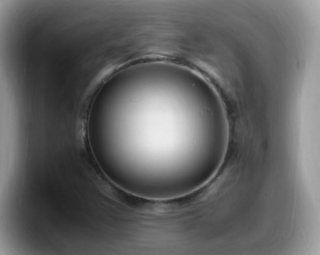 X0000099991355200805301405