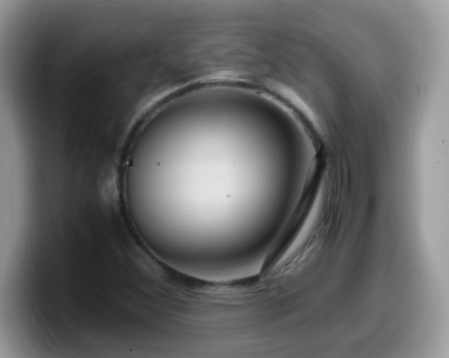 X0000099991356200805301405