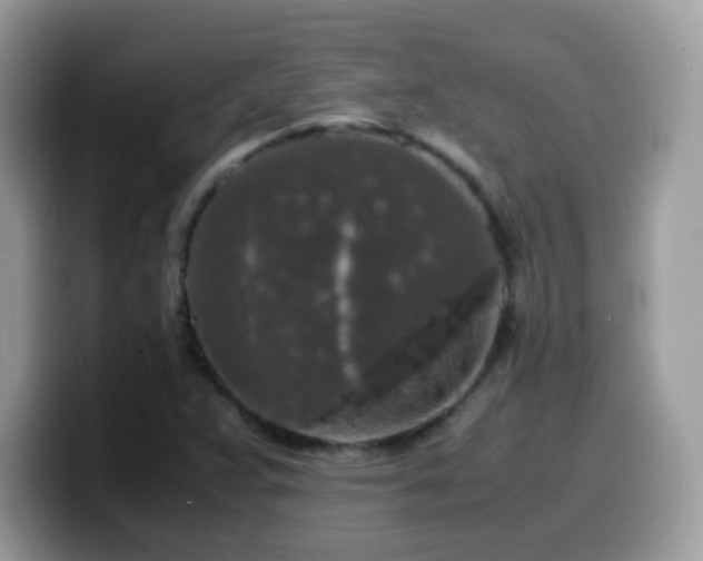 X0000099991359200805301405