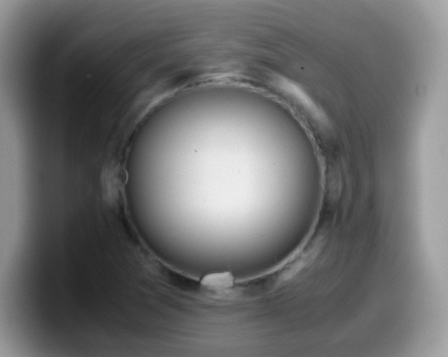 X0000099991361200805301405