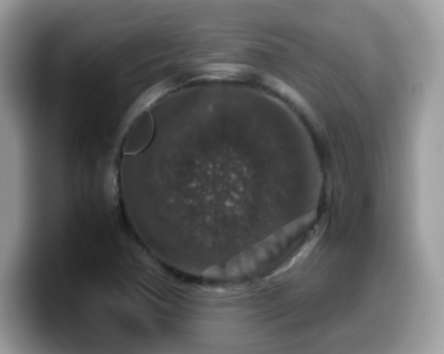 X0000099991362200805301405
