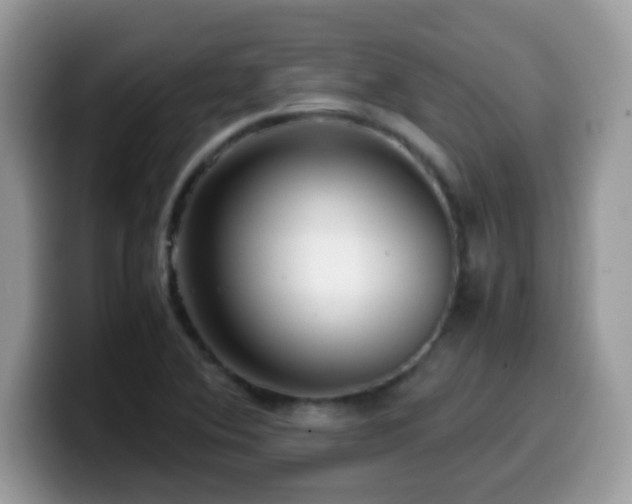 X0000099991364200805301405