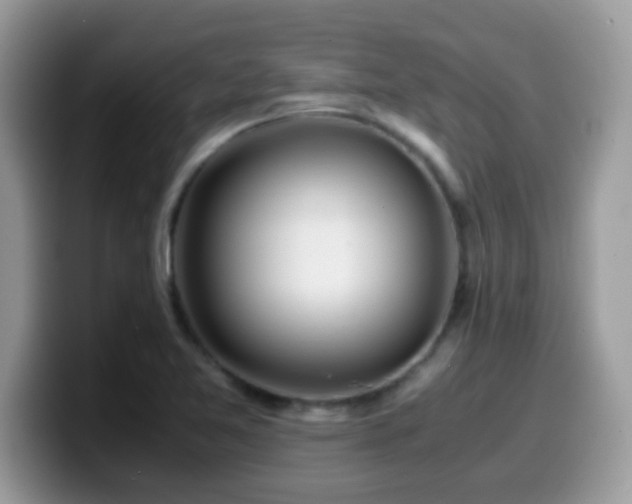 X0000099991365200805301405