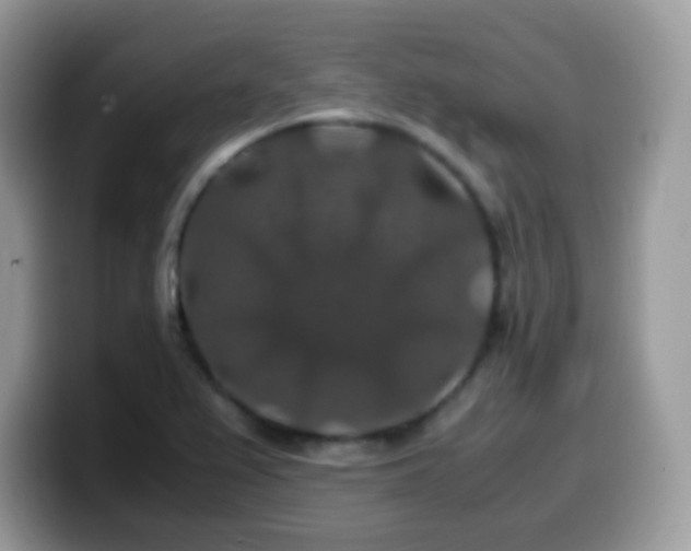 X0000099991367200805301405