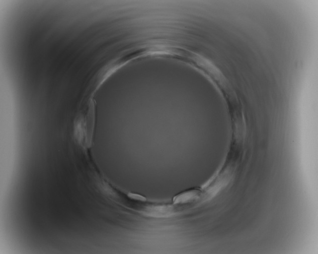 X0000099991369200805301405