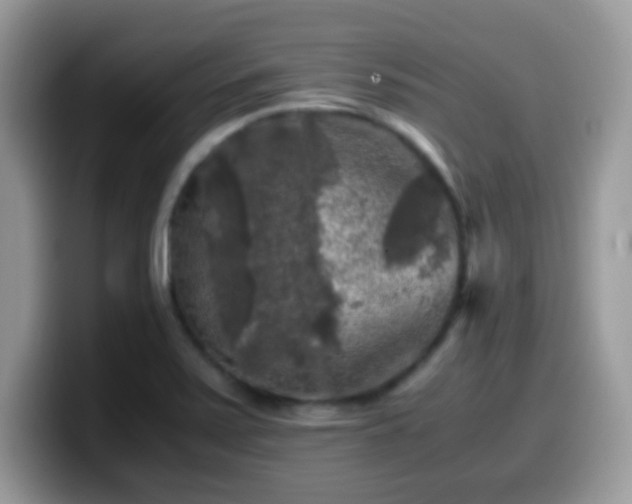 X0000099991371200805301405