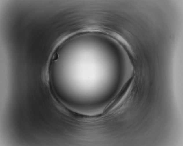 X0000099991372200805301405