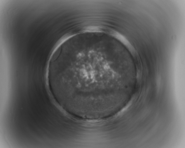 X0000099991378200805301405