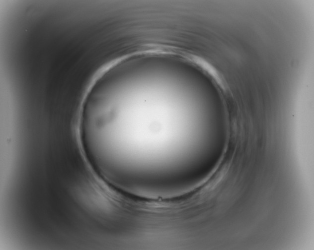 X0000099991379200805301405