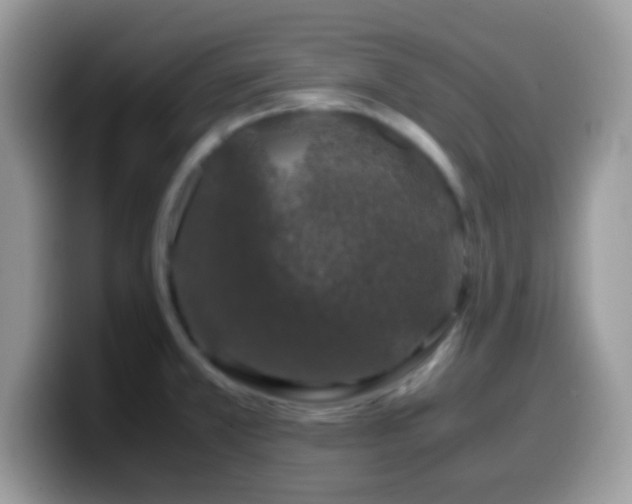 X0000099991381200805301405