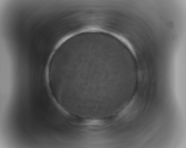 X0000099991382200805301405