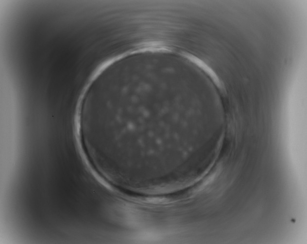 X0000099991383200805301405