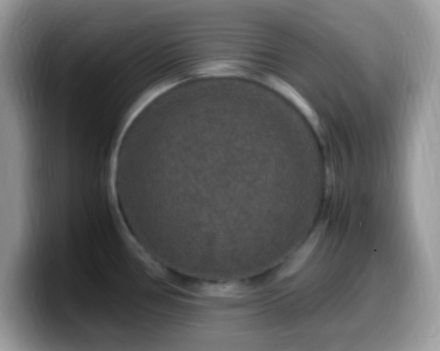 X0000099991386200805301404