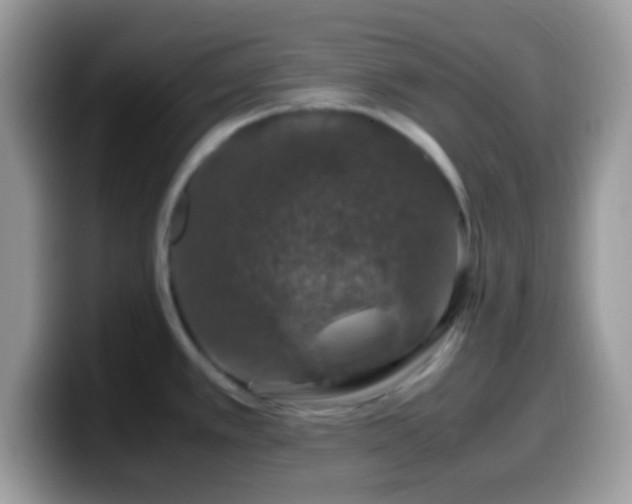 X0000099991389200805301404