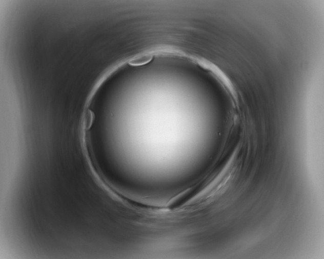 X0000099991390200805301404