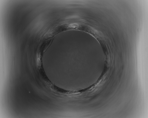 X0000099991394200805301404